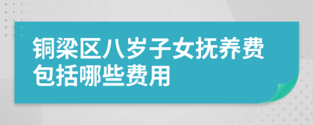 铜梁区八岁子女抚养费包括哪些费用