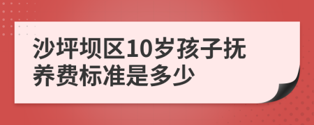 沙坪坝区10岁孩子抚养费标准是多少