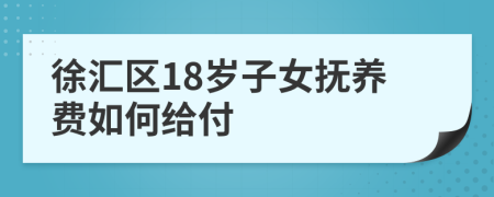 徐汇区18岁子女抚养费如何给付