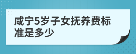 咸宁5岁子女抚养费标准是多少