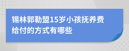 锡林郭勒盟15岁小孩抚养费给付的方式有哪些