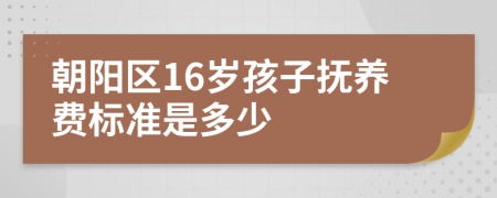 朝阳区16岁孩子抚养费标准是多少