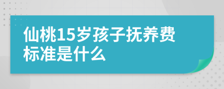 仙桃15岁孩子抚养费标准是什么