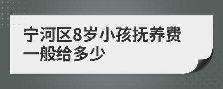 宁河区8岁小孩抚养费一般给多少