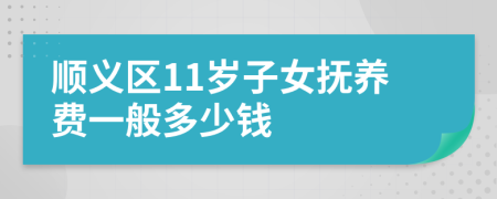 顺义区11岁子女抚养费一般多少钱