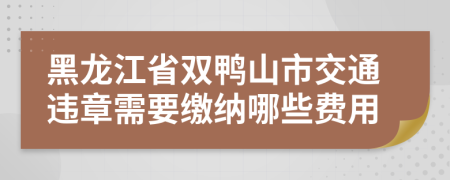 黑龙江省双鸭山市交通违章需要缴纳哪些费用