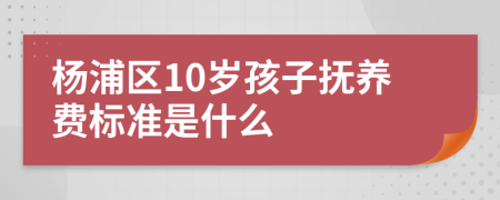 杨浦区10岁孩子抚养费标准是什么