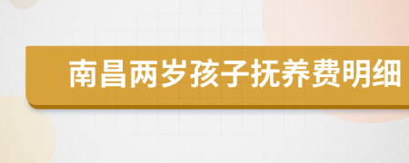 南昌两岁孩子抚养费明细