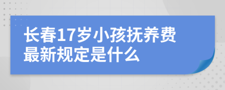 长春17岁小孩抚养费最新规定是什么