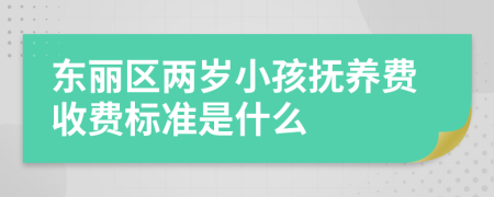 东丽区两岁小孩抚养费收费标准是什么