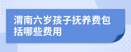 渭南六岁孩子抚养费包括哪些费用