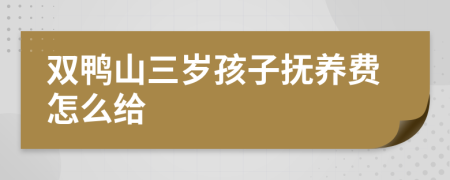 双鸭山三岁孩子抚养费怎么给