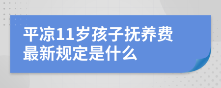 平凉11岁孩子抚养费最新规定是什么