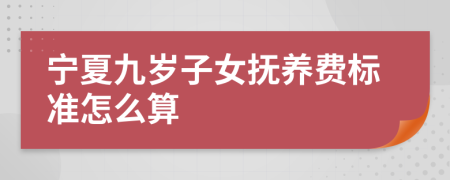 宁夏九岁子女抚养费标准怎么算