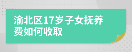 渝北区17岁子女抚养费如何收取