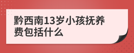 黔西南13岁小孩抚养费包括什么