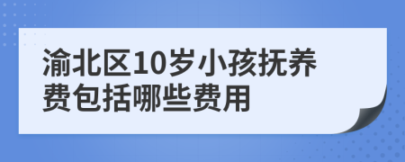 渝北区10岁小孩抚养费包括哪些费用