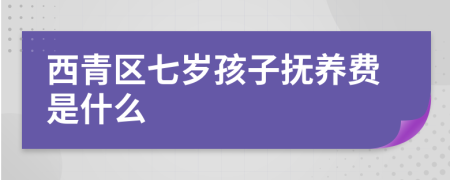 西青区七岁孩子抚养费是什么