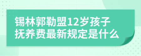 锡林郭勒盟12岁孩子抚养费最新规定是什么
