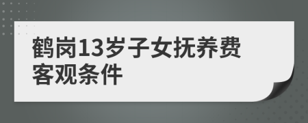 鹤岗13岁子女抚养费客观条件