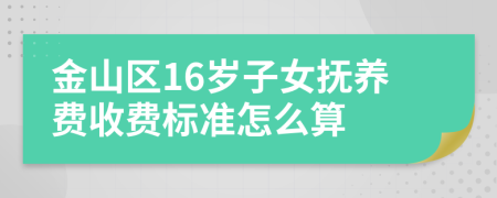 金山区16岁子女抚养费收费标准怎么算