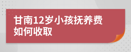 甘南12岁小孩抚养费如何收取