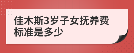 佳木斯3岁子女抚养费标准是多少