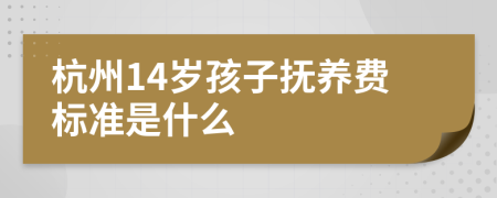 杭州14岁孩子抚养费标准是什么