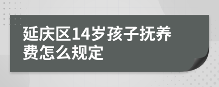 延庆区14岁孩子抚养费怎么规定