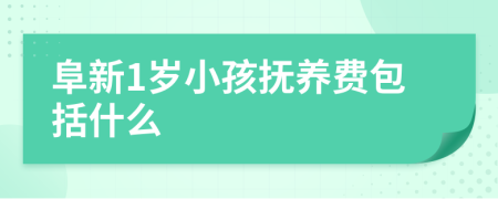 阜新1岁小孩抚养费包括什么