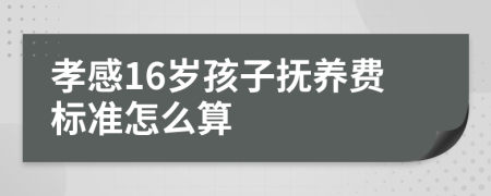 孝感16岁孩子抚养费标准怎么算