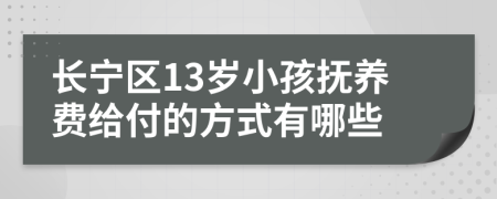 长宁区13岁小孩抚养费给付的方式有哪些