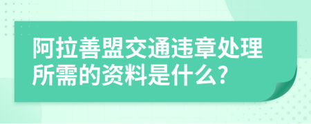 阿拉善盟交通违章处理所需的资料是什么?