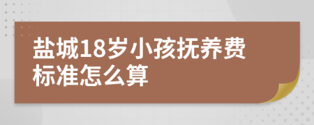 盐城18岁小孩抚养费标准怎么算