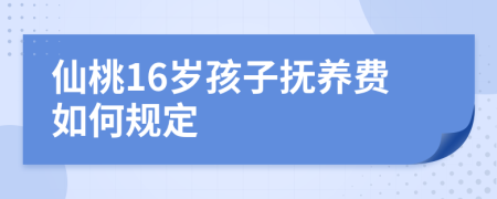 仙桃16岁孩子抚养费如何规定