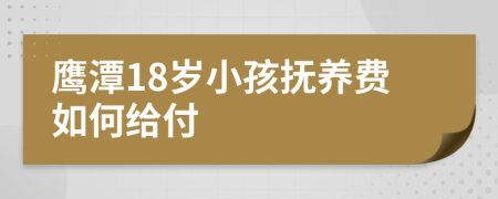 鹰潭18岁小孩抚养费如何给付