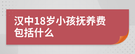 汉中18岁小孩抚养费包括什么