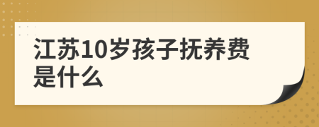 江苏10岁孩子抚养费是什么