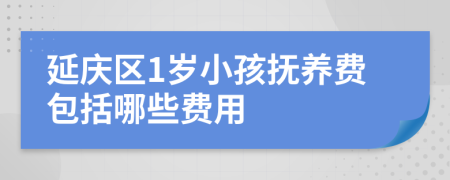 延庆区1岁小孩抚养费包括哪些费用