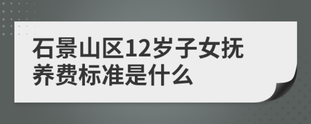 石景山区12岁子女抚养费标准是什么