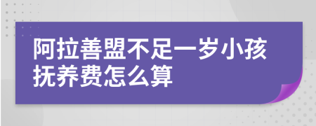 阿拉善盟不足一岁小孩抚养费怎么算