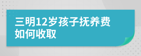 三明12岁孩子抚养费如何收取