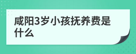 咸阳3岁小孩抚养费是什么
