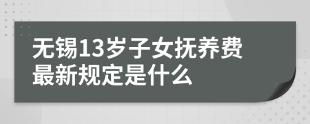 无锡13岁子女抚养费最新规定是什么