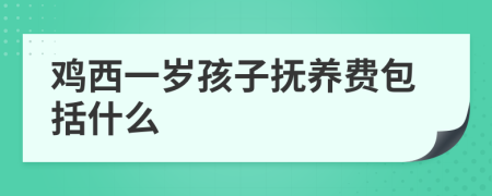 鸡西一岁孩子抚养费包括什么