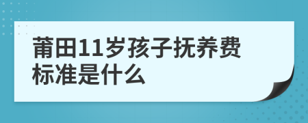 莆田11岁孩子抚养费标准是什么