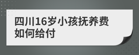 四川16岁小孩抚养费如何给付