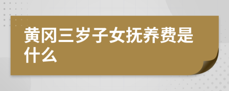 黄冈三岁子女抚养费是什么
