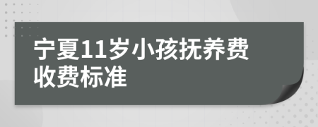 宁夏11岁小孩抚养费收费标准