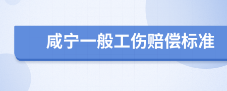 咸宁一般工伤赔偿标准